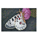 Hama DIY Art Vlinder (10.000st.)