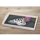 Hama DIY Art Vlinder (10.000st.)