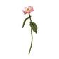 Hama DIY Art Bloemenboeket (6.000st.)