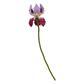 Hama DIY Art Bloemenboeket (6.000st.)