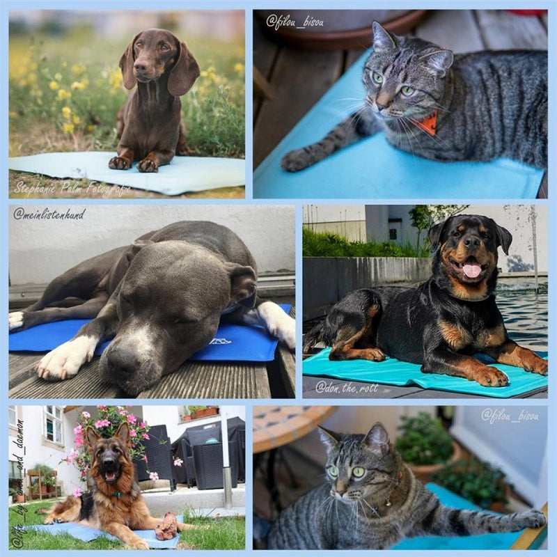 Nosli Zelfkoelende Koelmat voor Honden en Katten 40x50 cm IJsblauw