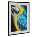 Diamond Painting - Papegaai, 30x40cm