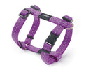 Rogz For Dogs Nitelife Tuig Paars 11 MMX20-36 CM