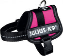 Julius K9 Power-harnas / Tuig Voor Labels Fuchsia BABY 1/30-40 CM