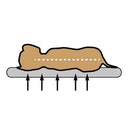 Sun Garden Pallina Orthopedisch Hondenkussen 120x80x27 cm Antraciet