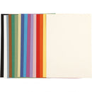 Frans karton assorti A4 210 x 297 mm 16 kleuren