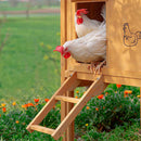 FERPLAST KIPPENHOK HEN HOUSE 30 BRUIN 162X100X110 CM