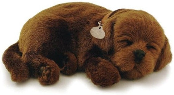 Perfect Petzzz soft Chocolate Labrador - Knuffeldier Perfect Pet