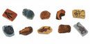 speelset Ancient fossils Toob junior bruin/grijs 10-delig