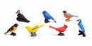 speelset Backyard birds Toob junior 7-delig