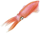 speeldier sepioteuthis sepioidea inktvis 21 cm roze