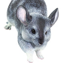 speeldier Chinchilla junior 15,5 x 7,5 cm grijs