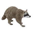 wilde dieren Wasbeer junior 10 cm lichtbruin/zwart/wit