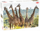 legpuzzel Animals giraffe 48 x 67 cm karton 1000 stukjes