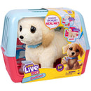 Little Live Pets Ouchies Puppy Cooper + Licht en Geluid