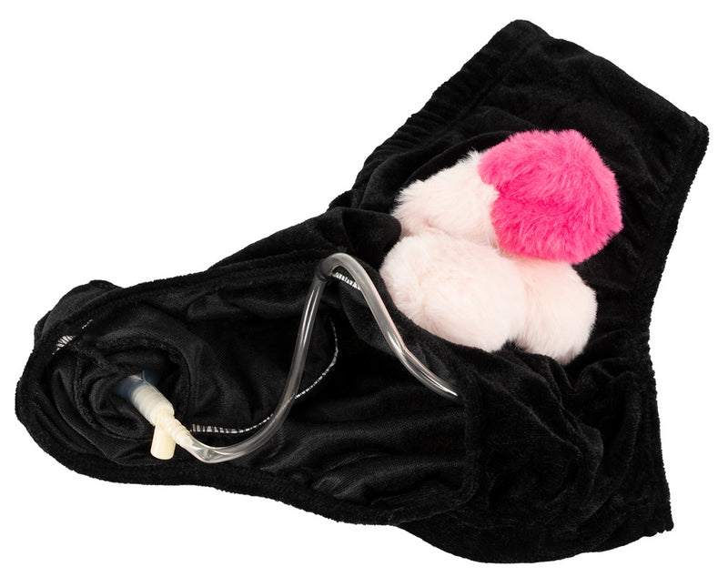 Briefs with Inflatable Penis