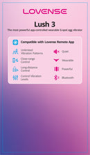 Lovense Product Display