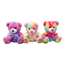 Knuffelbeer Regenboogkleuren - 21cm