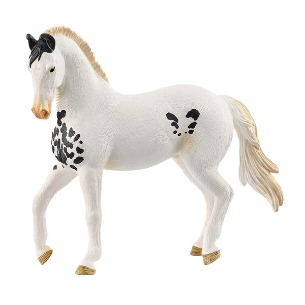 schleich HORSE CLUB Marwari Hengst 14898