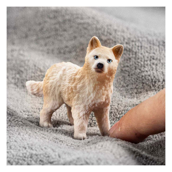 Schleich WILD LIFE Poolwolf Puppy 14881
