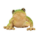 Schleich Wild Life Europese Boomkikker