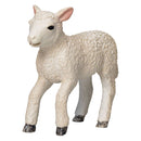 Mojo Farmland Romney Lam Rennend  - 381066