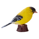 Mojo Farmland Amerikaanse Goudvink - 381111