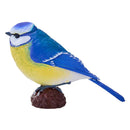 Mojo Farmland Pimpelmees - 381115