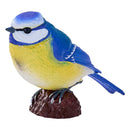 Mojo Farmland Pimpelmees - 381115