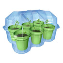 Kosmos Mimosa Garden Speelset