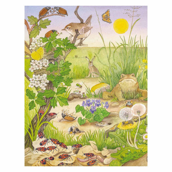 Kijk- en Zoekboek - Kriebeldiertjes