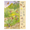 Kijk- en Zoekboek - Kriebeldiertjes