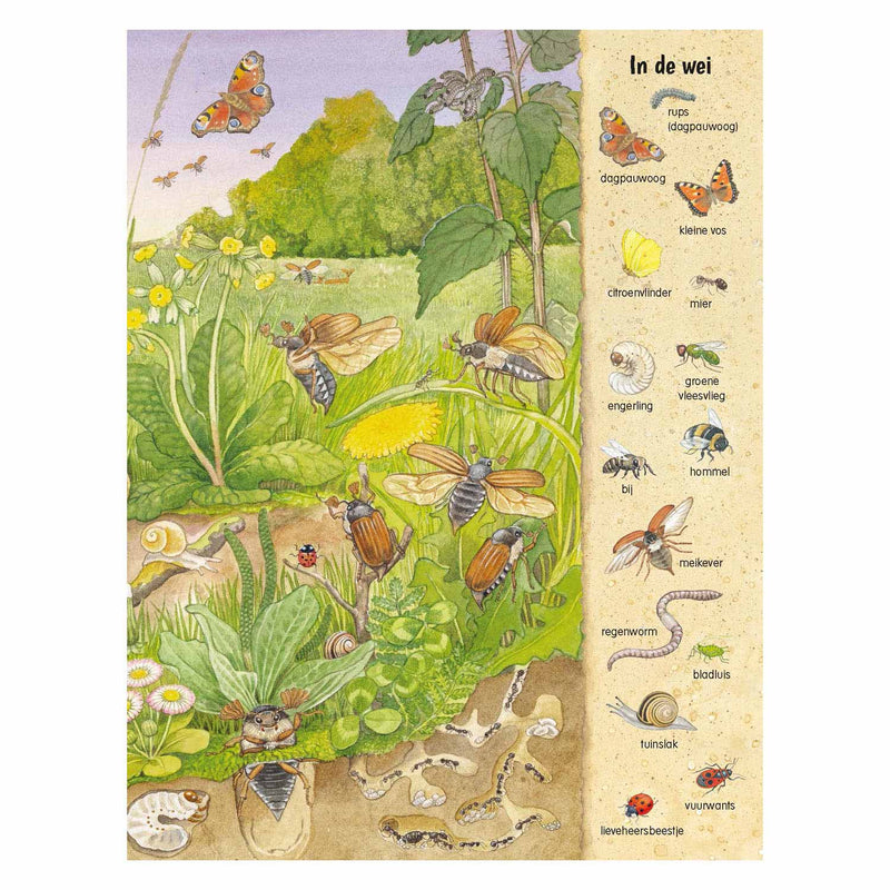 Kijk- en Zoekboek - Kriebeldiertjes