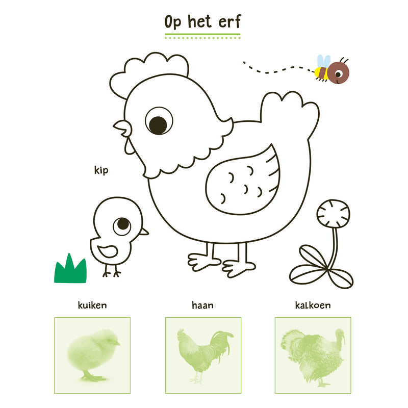 Mijn Dieren Stickerboek
