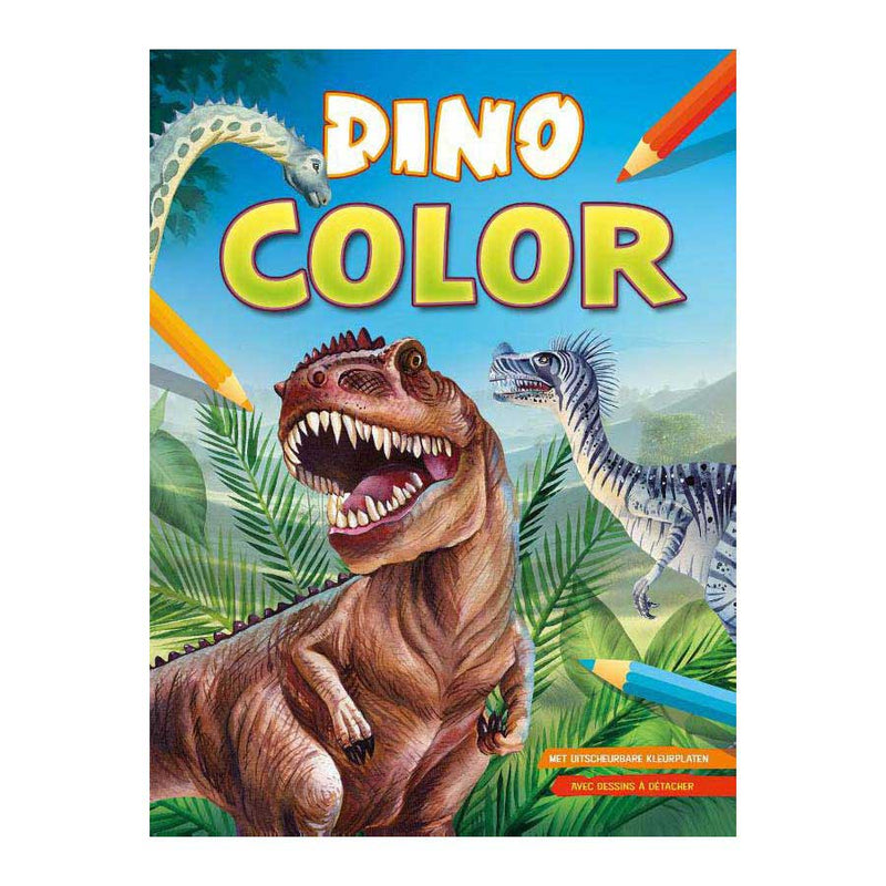 Dino Color Kleurblok