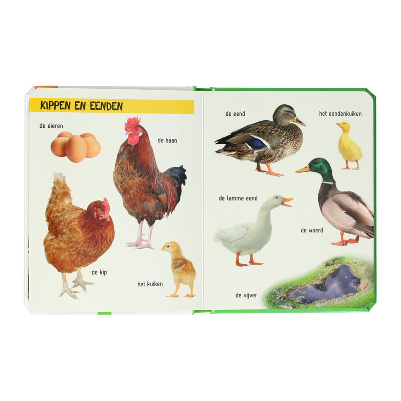 Kijk Eens Wat Zie Je Daar? De boerderij