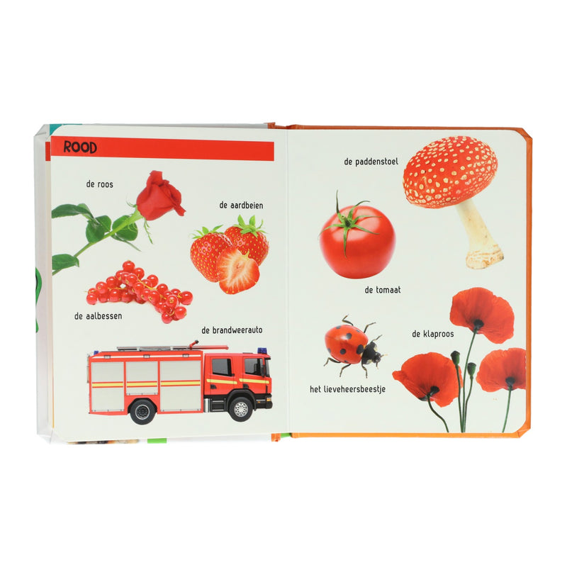 Kijk Eens Wat Zie Je Daar? Kleuren