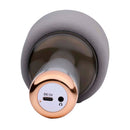 Karaoke Microfoon Speaker