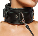 Leather Collar & Leash