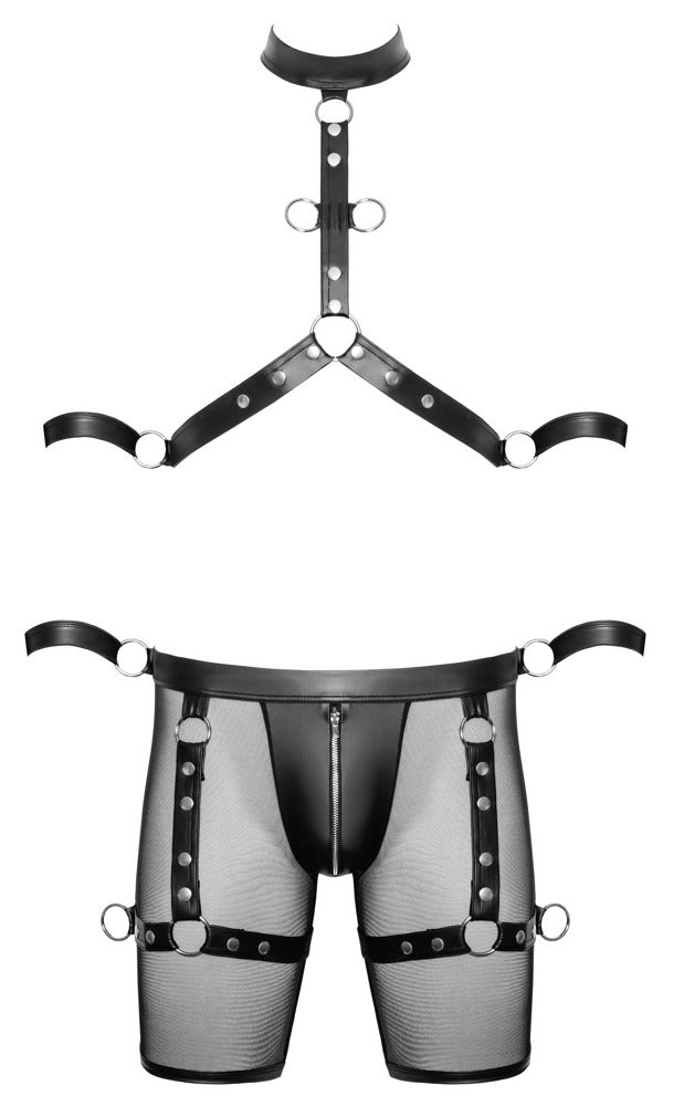 Men's Harness and Pants L