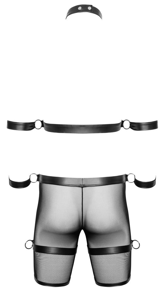 Men's Harness and Pants L