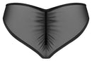 OBS Briefs XL/2XL