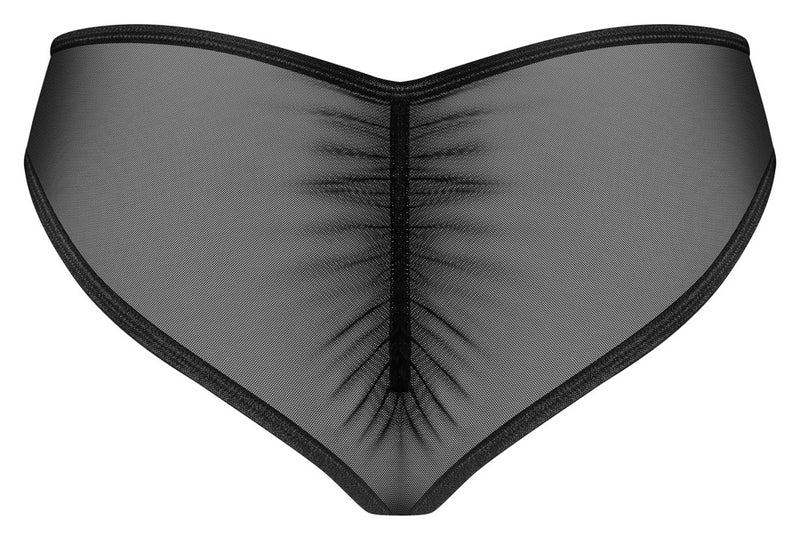 OBS Briefs XL/2XL