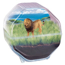 Clementoni Wetenschap & Spel My Wild Terrarium - Leeuw