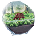 Clementoni Wetenschap & Spel My Wild Terrarium - Beer
