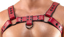 Men's Chest Harness red S-XL