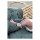 Trixie Armbandrammelaar  - Walvis