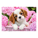 Castorland Legpuzzel Pup in pink flowers, 500st.