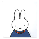 nijntje in het museum