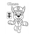PAW Patrol - PAW Patrol kleurblok